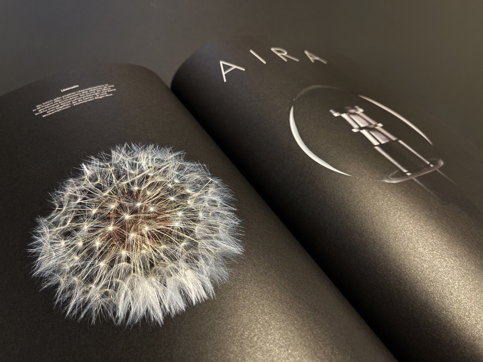 An close-up image of Selux Imagebook, showcasing a double page spread of the opening chapter for Aira Luminaire with a dandelion at the forefront.