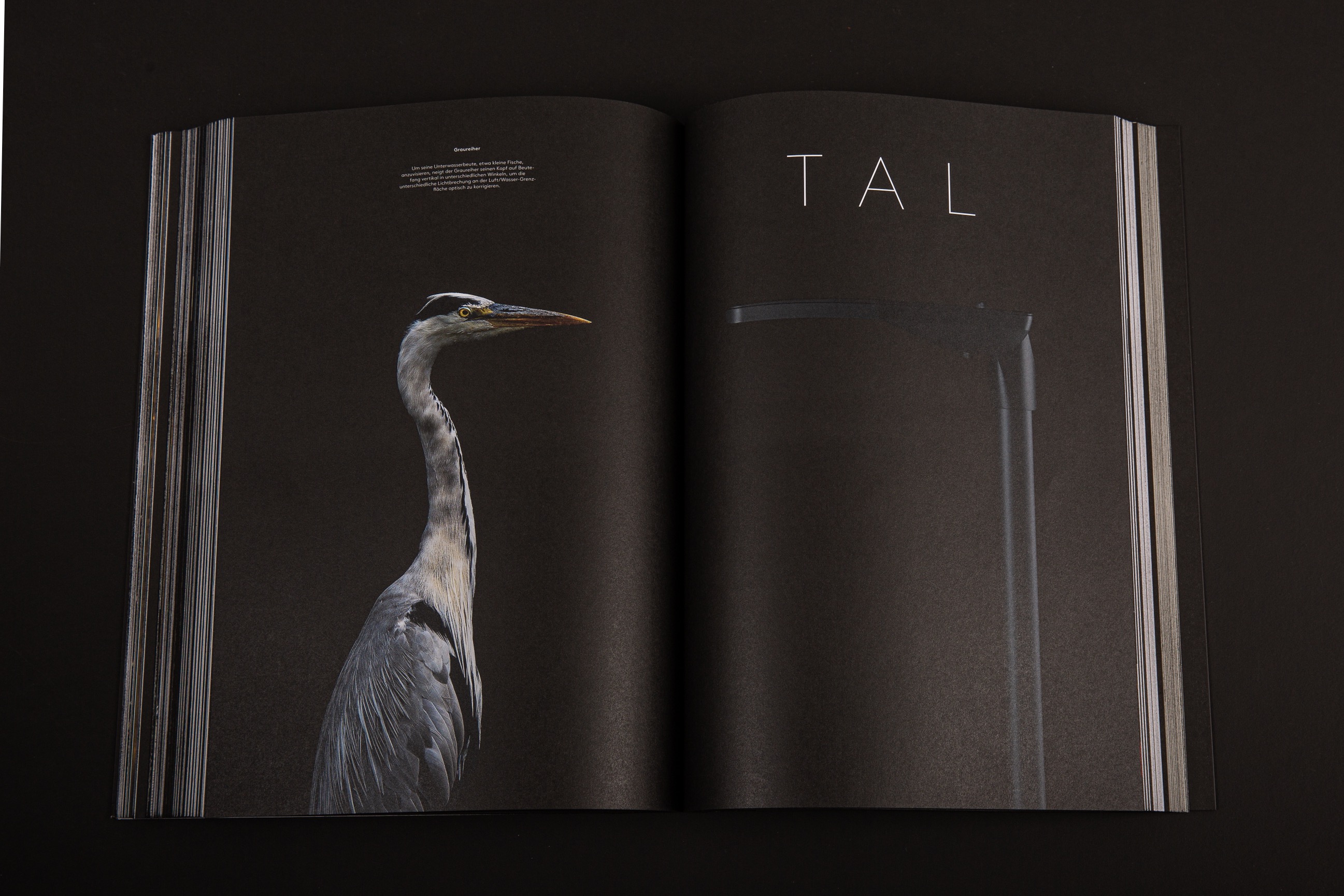 An image of Selux Imagebook, showcasing a double page spread of the opening chapter for Tal Luminaire.