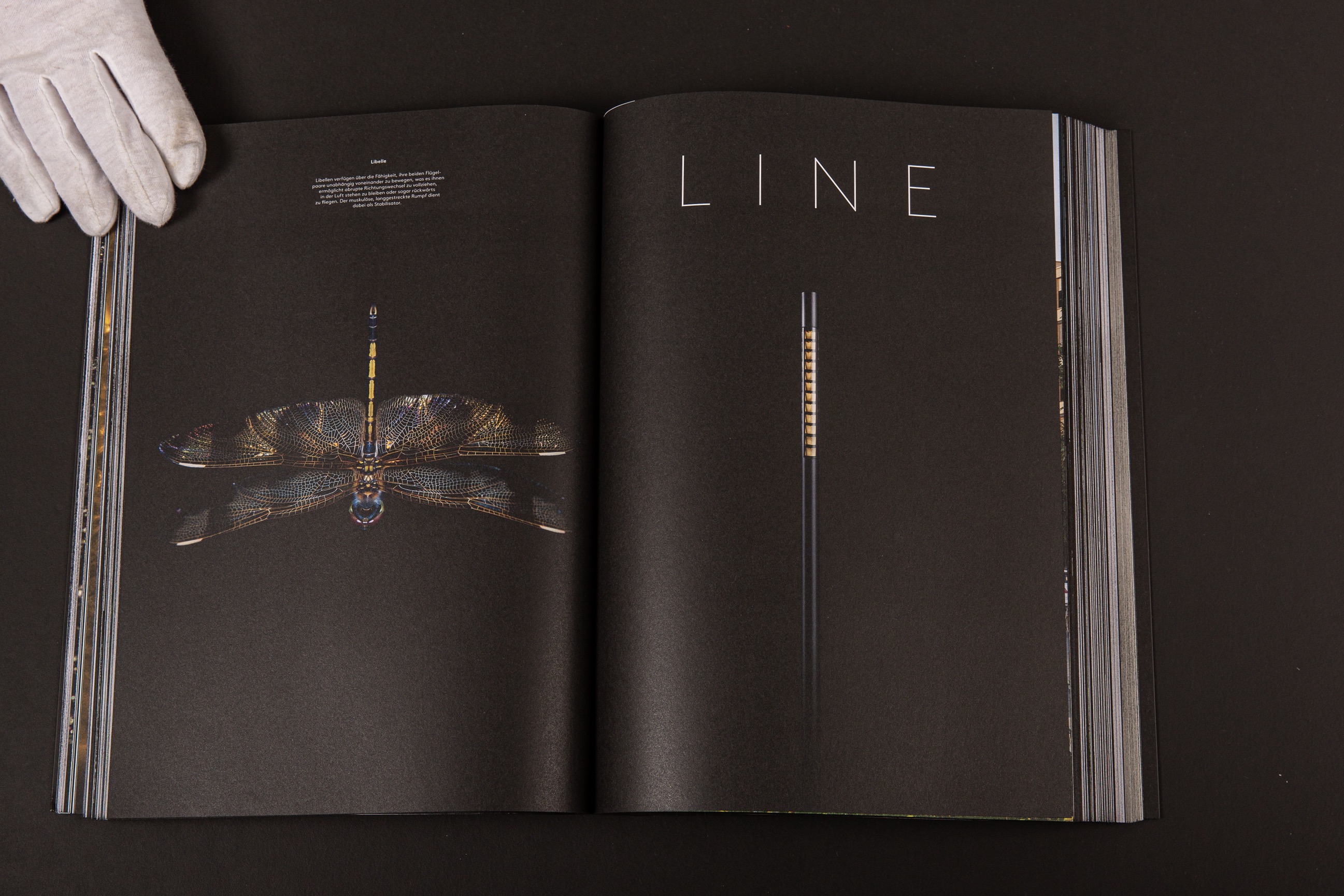 An image of Selux Imagebook, showcasing a double page spread of the opening chapter for Line Luminaire.