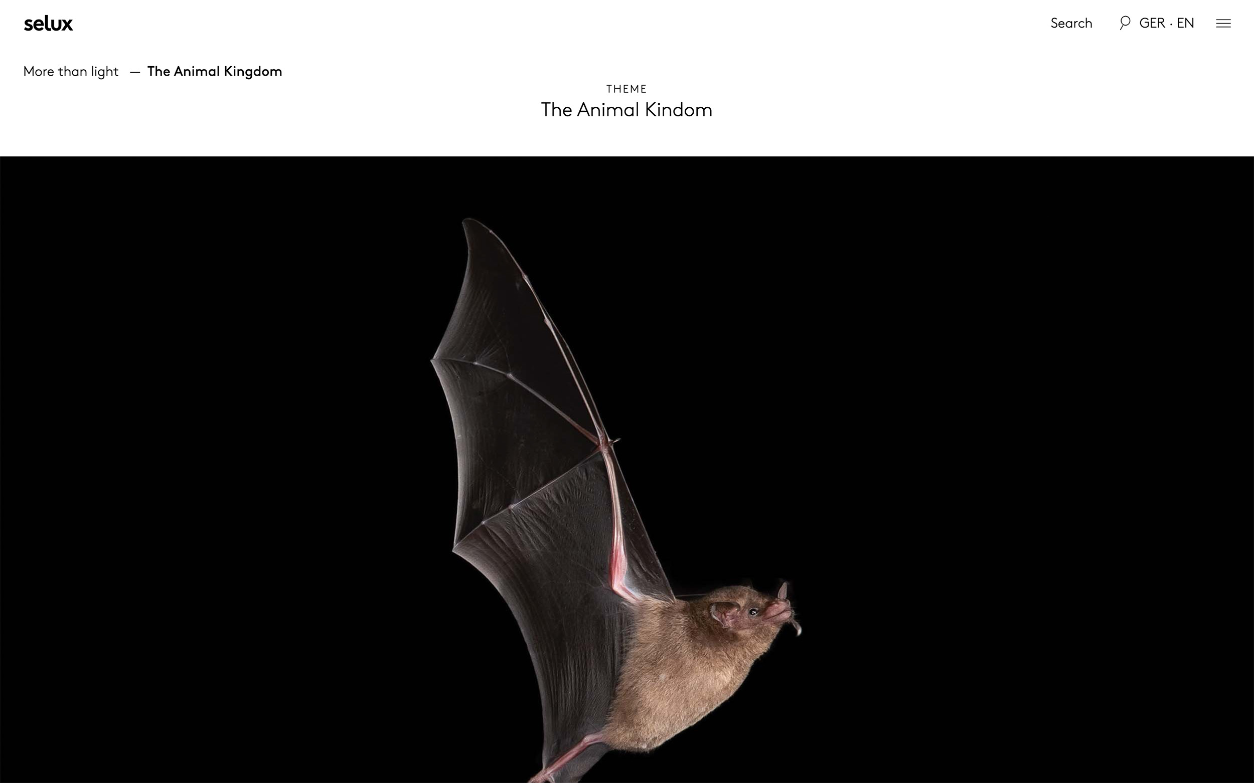 An image showcasing the Theme page titled The Animal Kingdom with headline at the top and a full width image of a bat underneath.